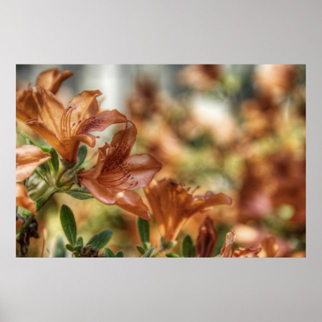 Lilies Poster (Front)