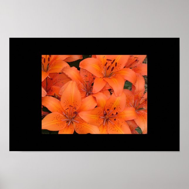 Lilies Poster (Front)