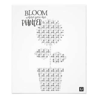 Lil'Inspirations #4 - Bloom where you are planted Photo Print
