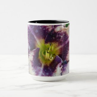 Lilium Bloom Photo 