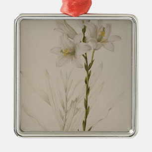 Lilium Candidum, from `Les Liliacees', 1807 Metal Ornament