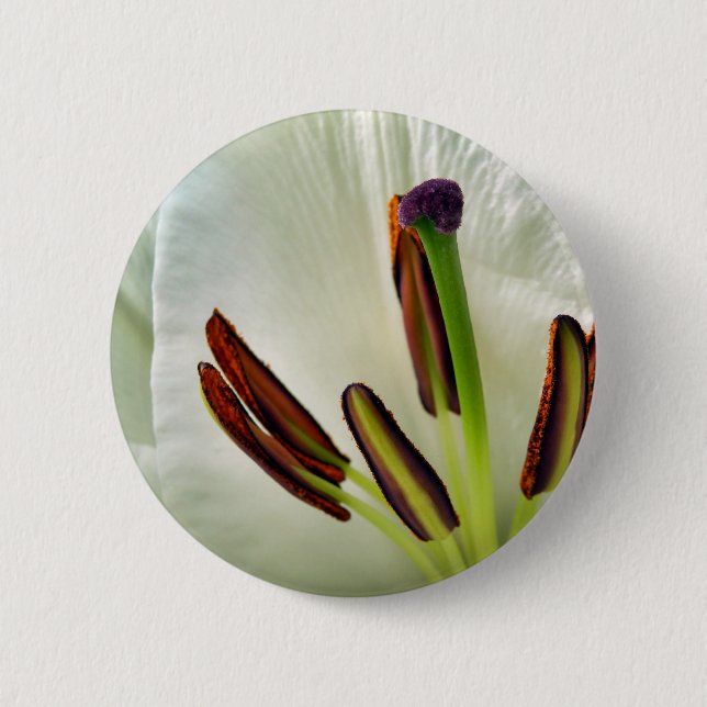 Lilium Oriental White Badge Button (Front)
