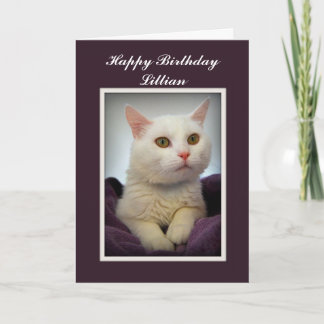 Lillian Happy Birthday White Cat Card