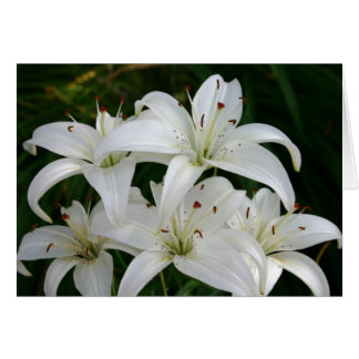 Lillies Cards
