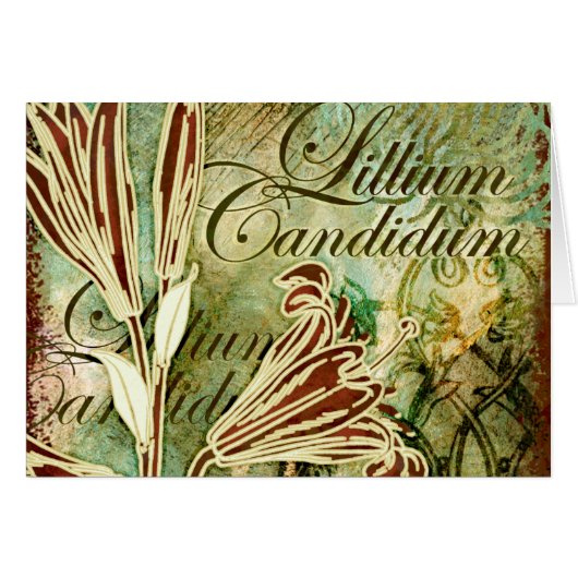 Lillium Candidum Cards (Front Horizontal)