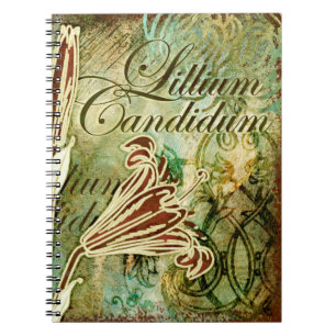 Lillium Candidum Notebook