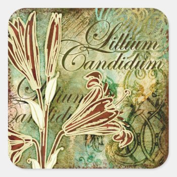 Lillium Candidum Square Sticker by AuraEditions at Zazzle