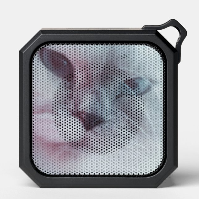 Lilly  bluetooth speaker (Front)