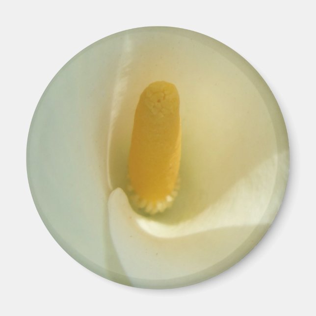 Lilly Center Magnet (Front)