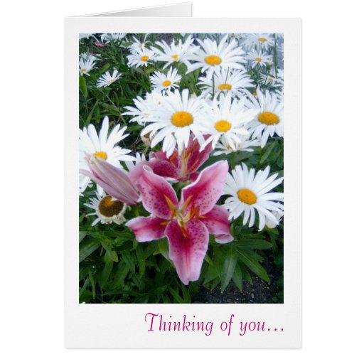 Lilly & Daisy Thinking of you Card | Zazzle