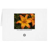 Lilly Greeting/Note Card (Back Horizontal)