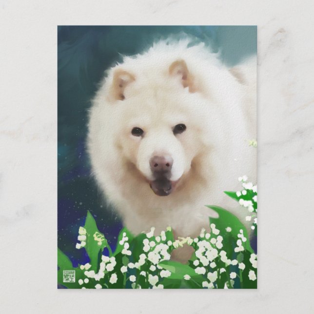 LILLY heARTdog chow postcard (Front)
