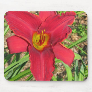 lilly mouse pad