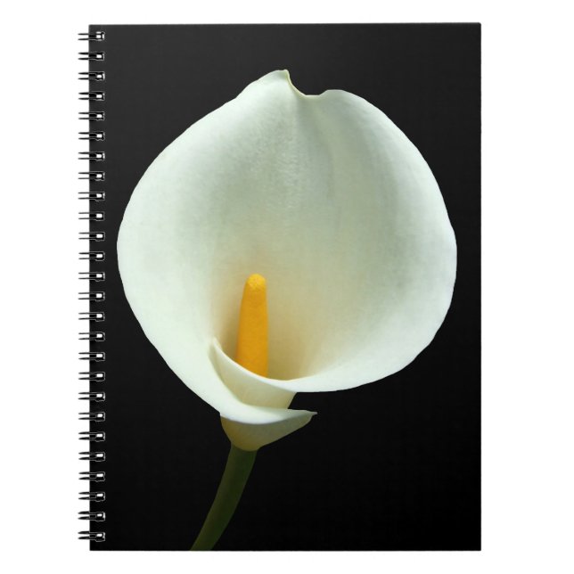 Lilly Notebook (Front)