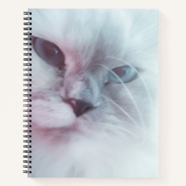 Lilly  notebook (Front)