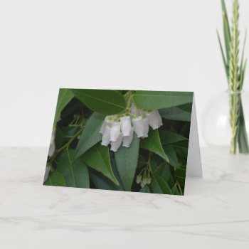 Lilly Of The Valley Flowers Note Card by teknogeek at Zazzle