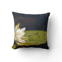 Lilly Pad