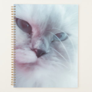 Lilly planner