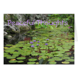 Lilly Pond Cards
