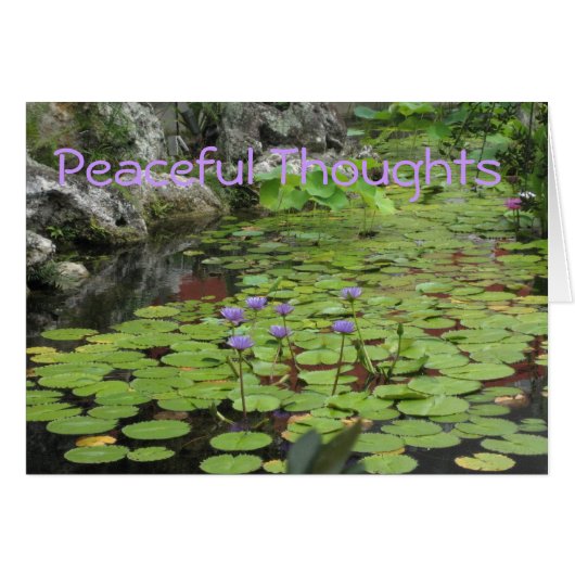 Lilly Pond Cards (Front Horizontal)