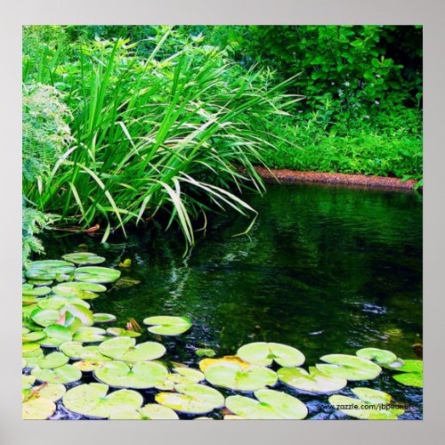 lilly pond wwwzazzlecomjbpeanut poster