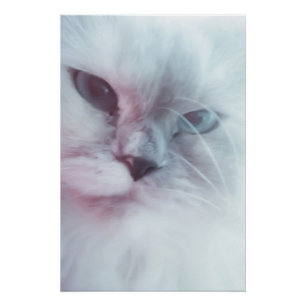 Lilly poster