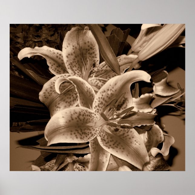 lilly poster (Front)