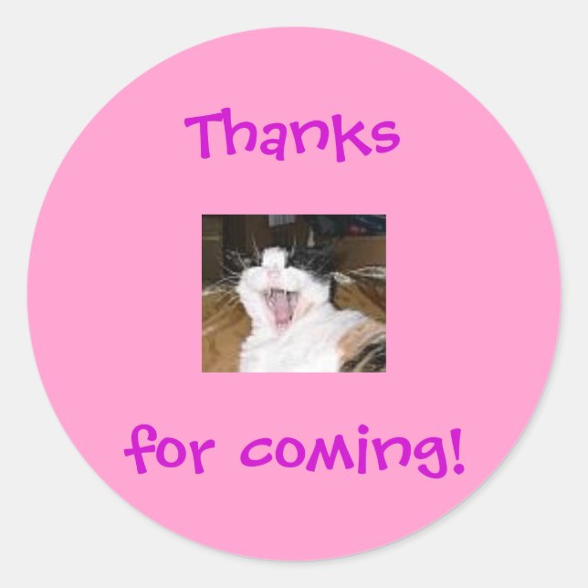 Lillytalking, Thanks for coming! Classic Round Sticker (Front)