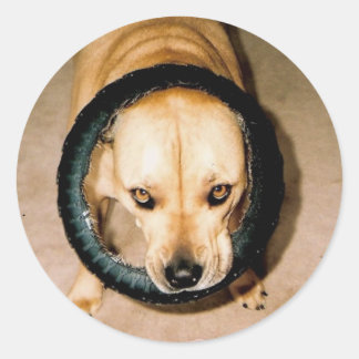 Lilo in Tire Classic Round Sticker