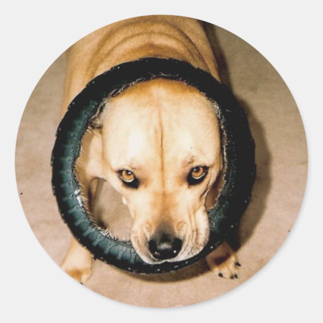 Lilo in Tire Classic Round Sticker (Front)