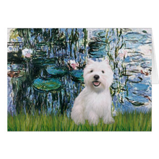 Liloies #1 - Westie 2 Cards