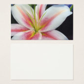 Lily (Front & Back)