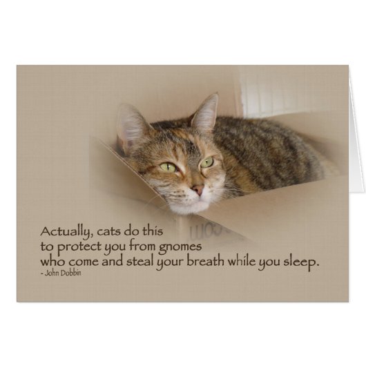 Lily #1 (Front Horizontal)