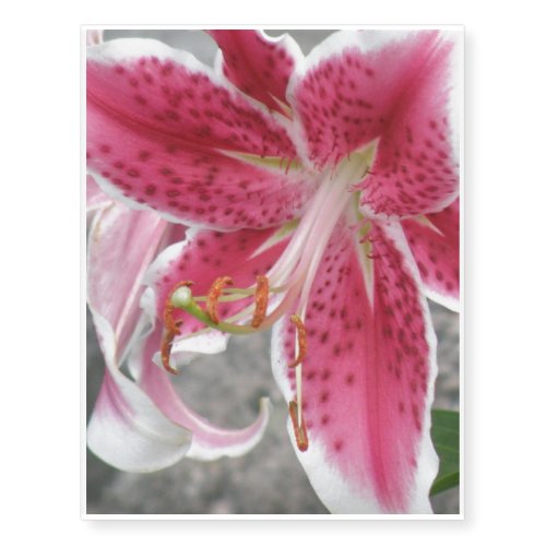 lily-112.jpg temporary tattoos