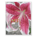 lily-112.jpg temporary tattoos