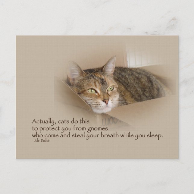 Lily #1 postcard (Front)