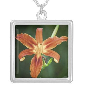Lily 6588 Necklace