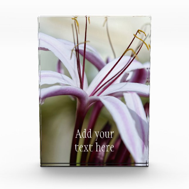 Lily Acrylic Award - Customized (Front)