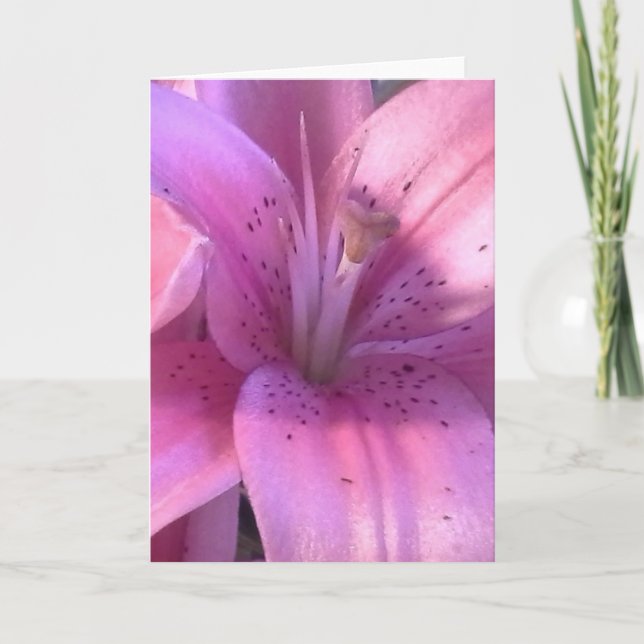 Lily All Purpose Greeting Card (Front)