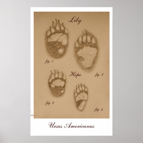 Lily and Hope Paw Print