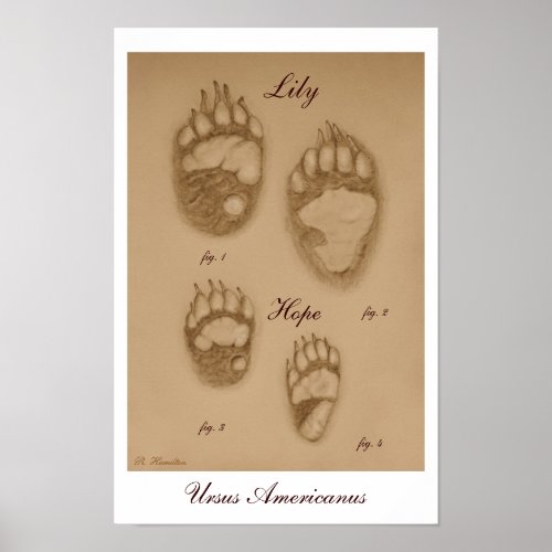 Lily and Hope Paw Print