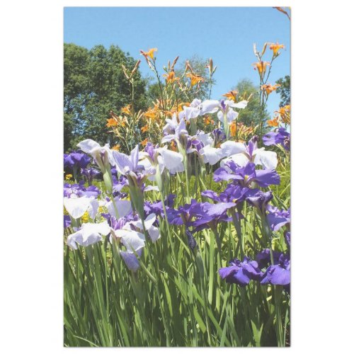 Lily and Iris Garden Poster Tissue Paper