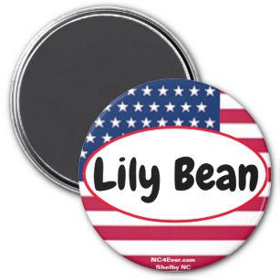 Lily Bean red white blue magnet