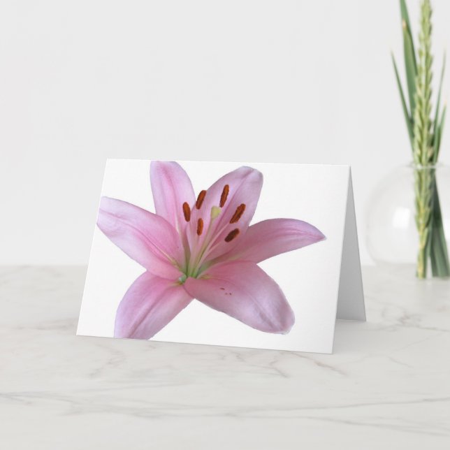 Lily - Blank greetings Card (Front)