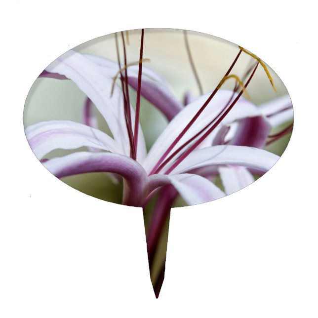 Lily Cake Topper (Front)
