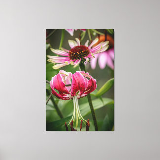 Lily  canvas print