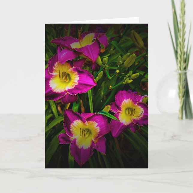 Lily, card (Front)