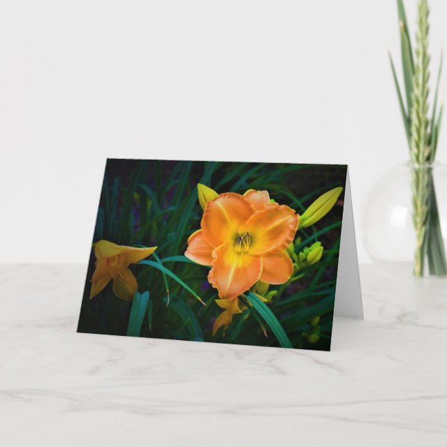 Lily, card (Front)