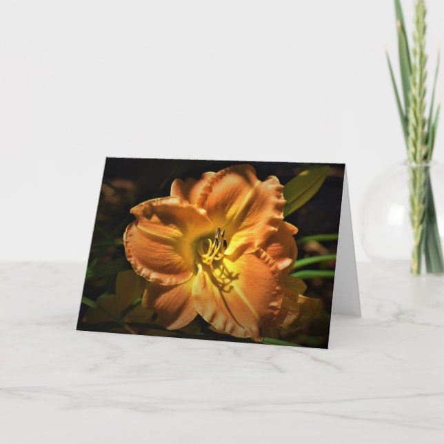 Lily, card (Front)