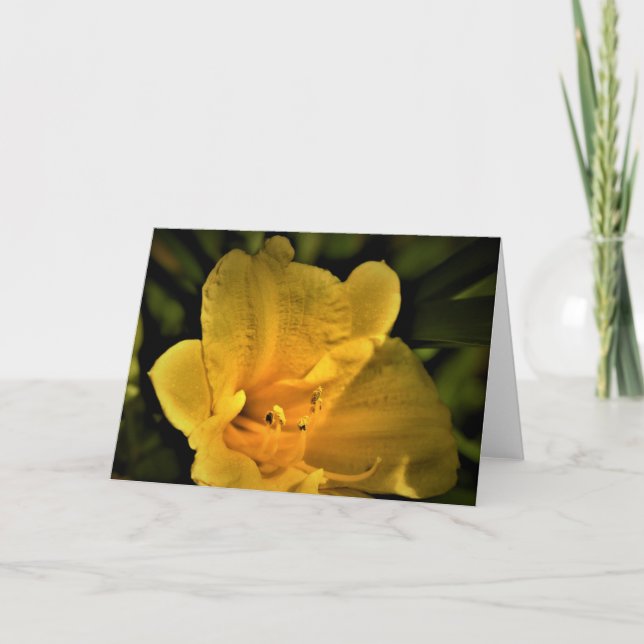 Lily, card (Front)
